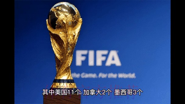 2026世界杯比分预测分析与动态